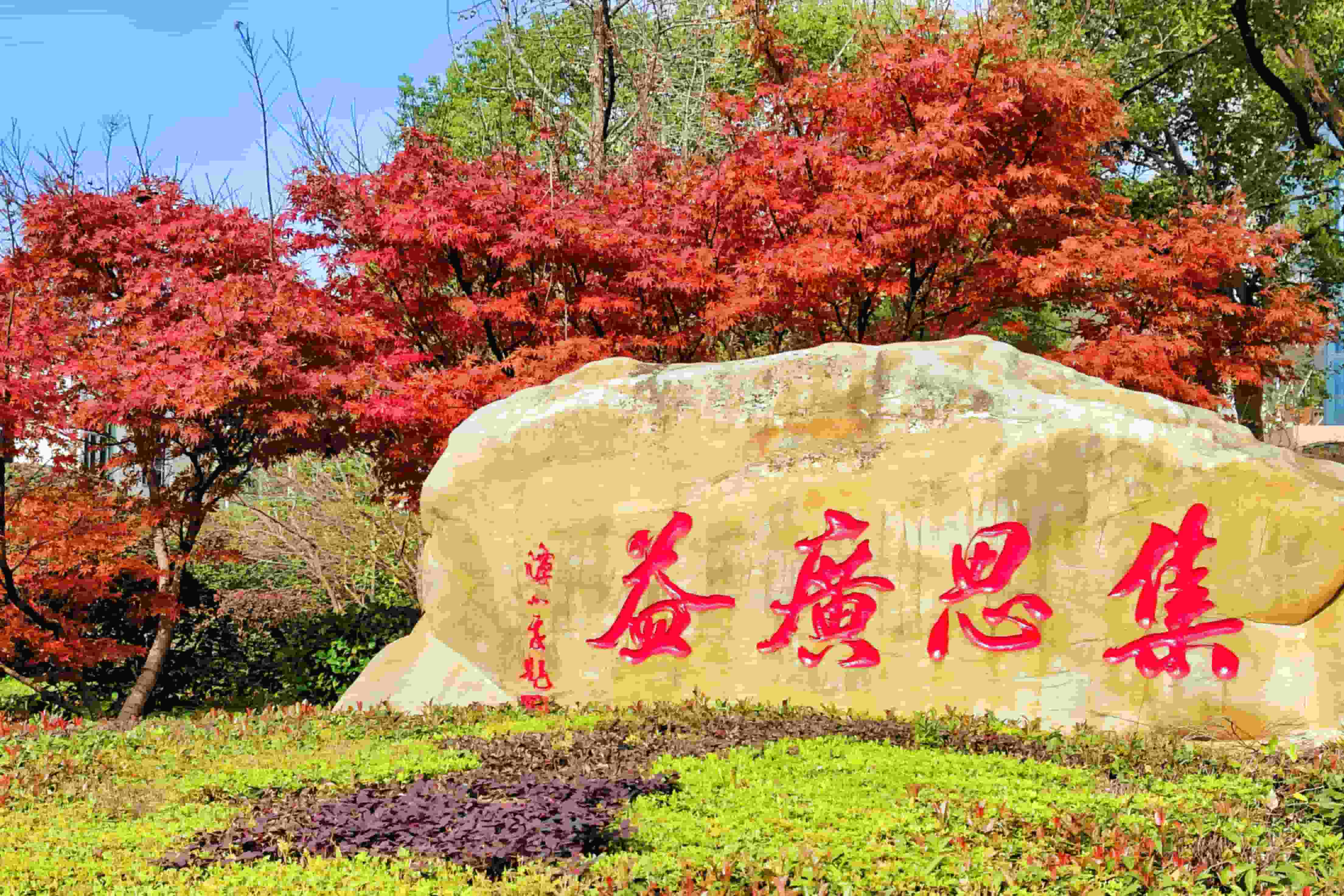 “音”为有你  城乡共美——董德红美育名师工作室送教下乡活动在我校举行